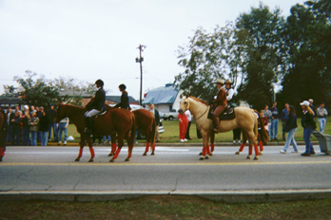 Horses and ponies